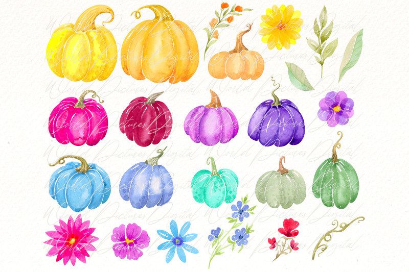 fall-pumpkin-png-clipart-bundle-watercolor-fall-pumpkins