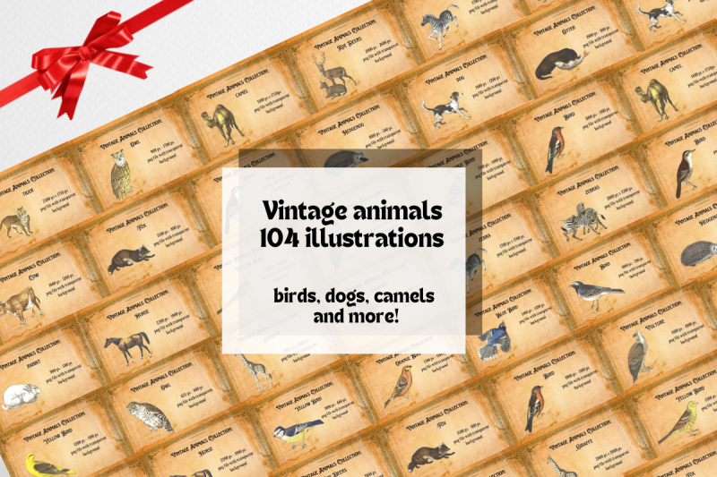vintage-animals-bundle-104-illustrations