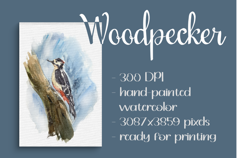 woodpecker-watercolor-clip-art-and-print