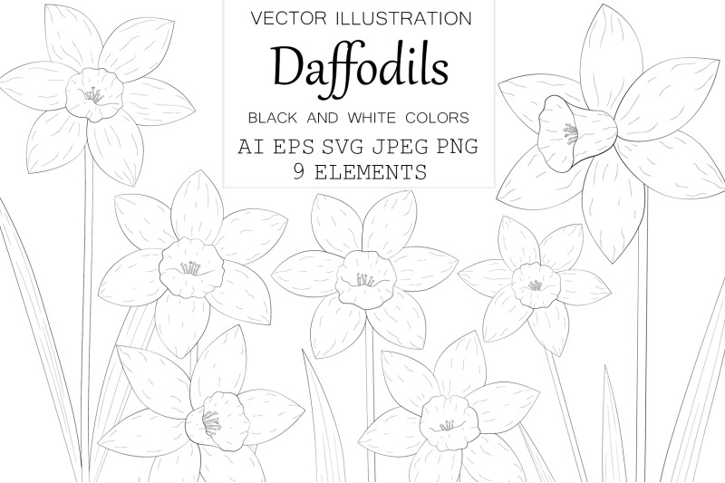 daffodils-coloring-daffodils-graphics-svg-spring-flowers