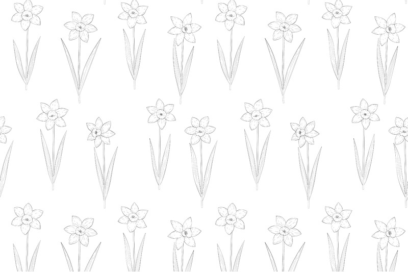 daffodils-coloring-pattern-daffodils-graphics-pattern