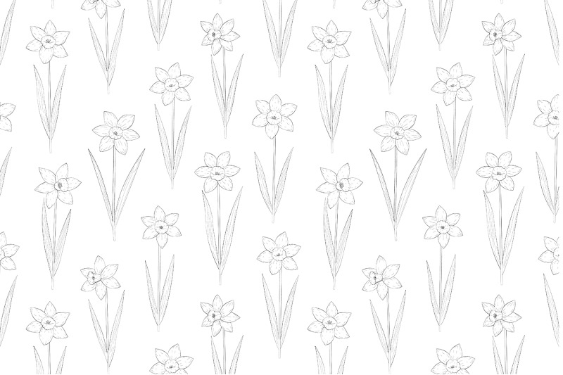 daffodils-coloring-pattern-daffodils-graphics-pattern