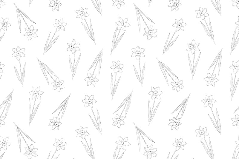 daffodils-coloring-pattern-daffodils-graphics-pattern