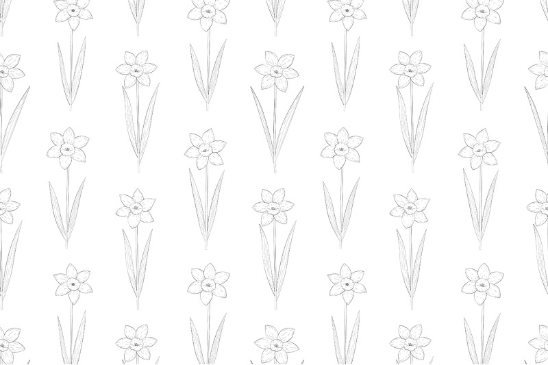 daffodils-coloring-pattern-daffodils-graphics-pattern