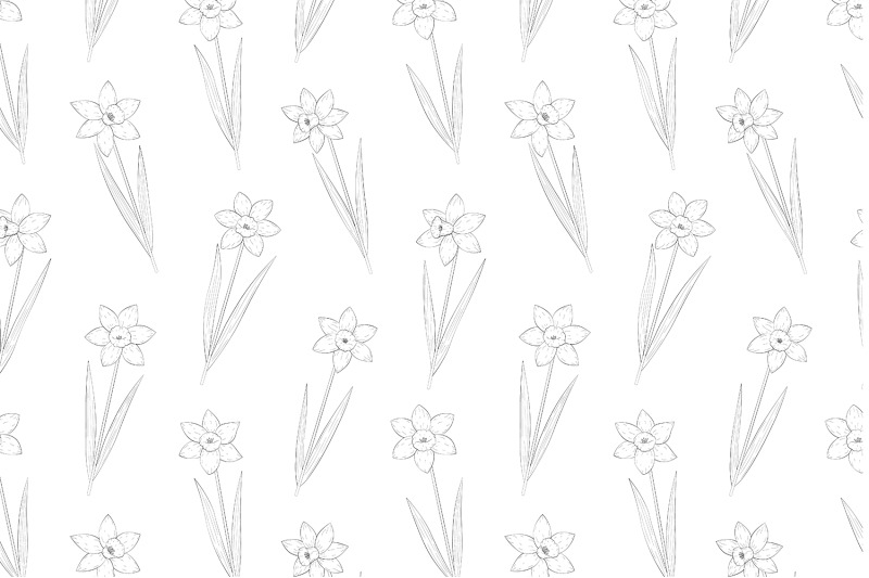 daffodils-coloring-pattern-daffodils-graphics-pattern