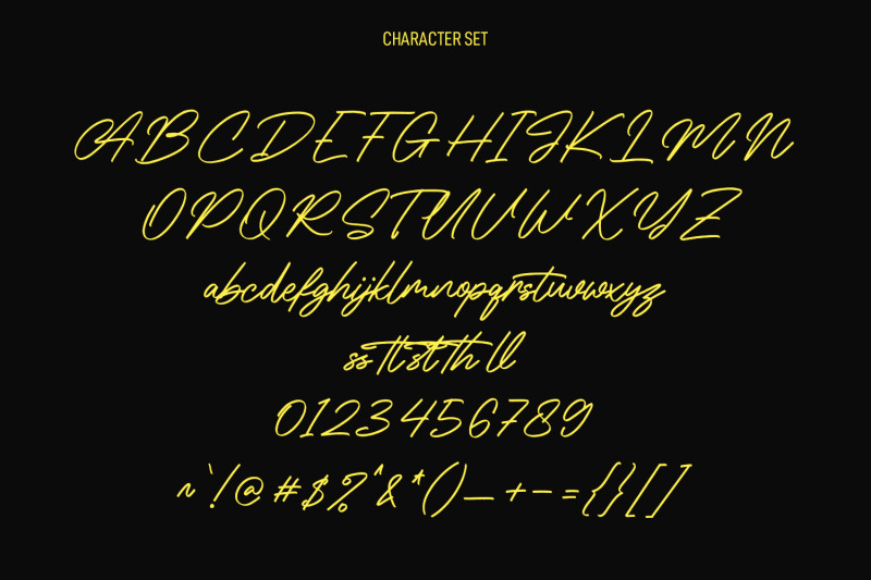 cityskypes-signature-script-font