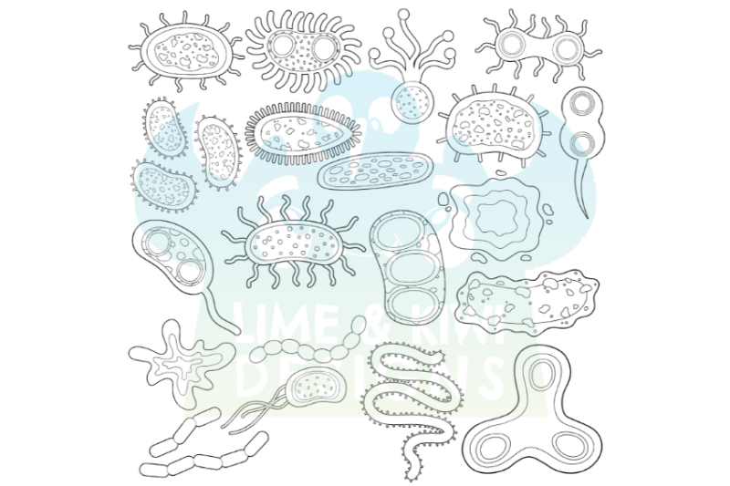 bacteria-digital-stamps-lime-and-kiwi-designs