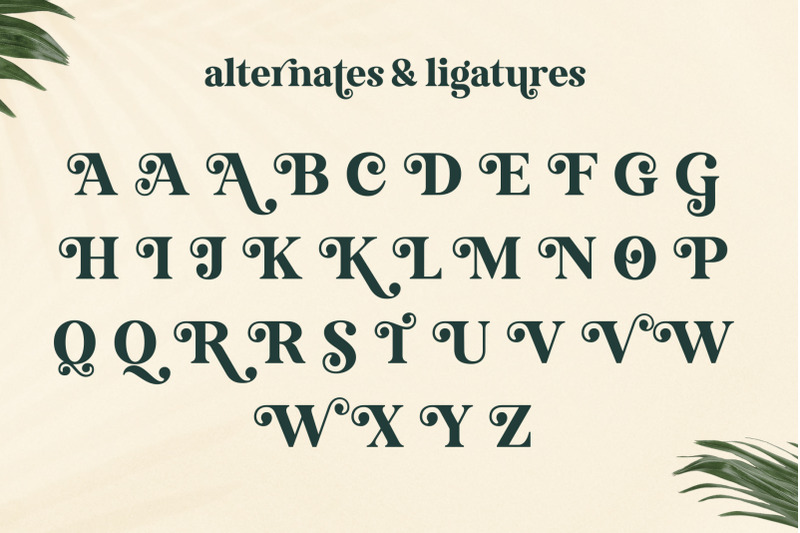 royal-knight-modern-serif-font
