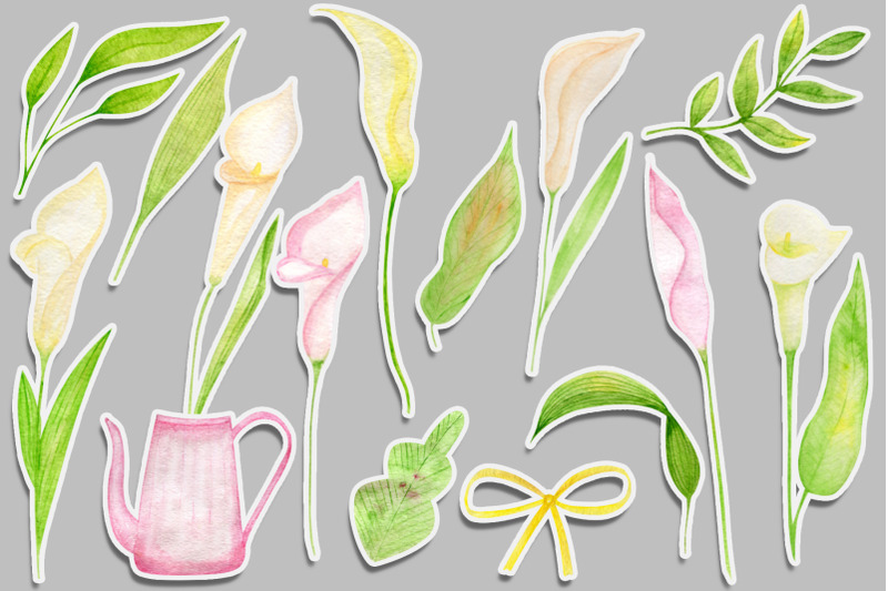 watercolor-calla-lily-set-clipart