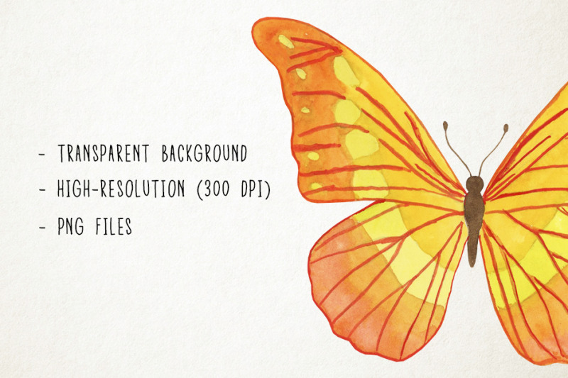 watercolor-butterflies-clipart-butterflies-graphics-spring