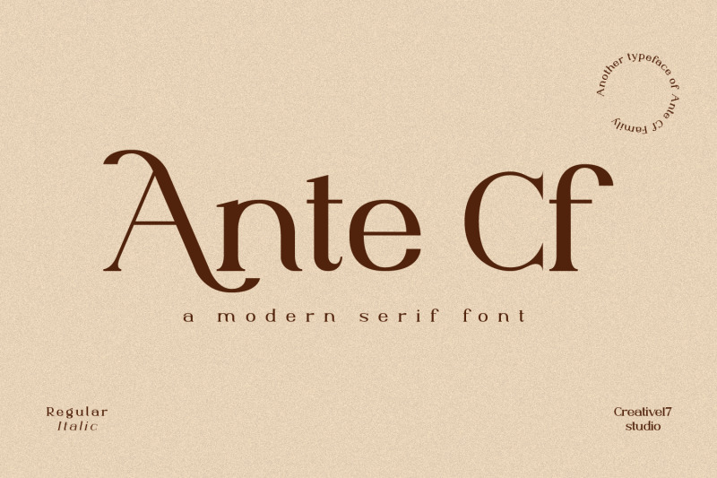 the-wonderful-serif-font-bundle