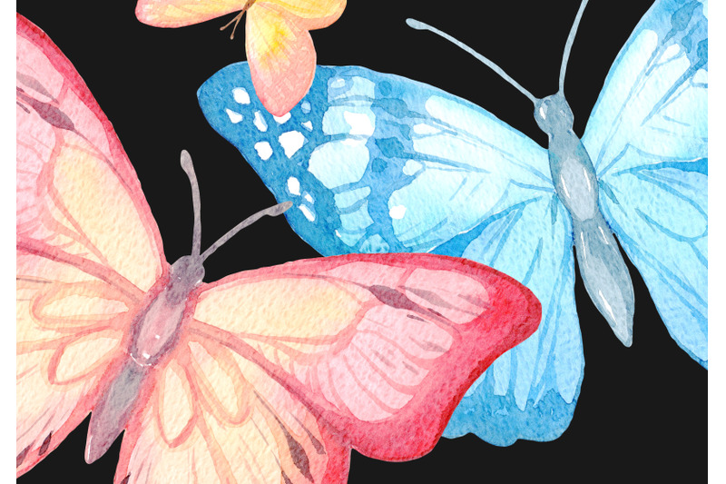 watercolor-multicolor-butterflies-clipart