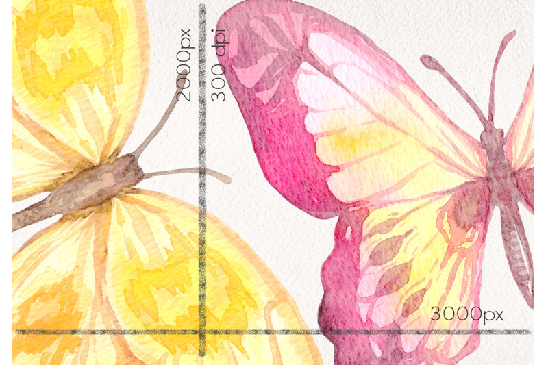 watercolor-multicolor-butterflies-clipart