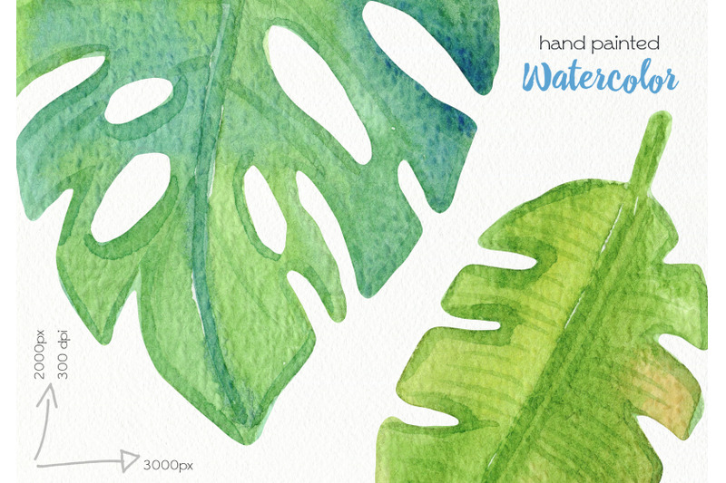 watercolor-tropical-leaves-clipart