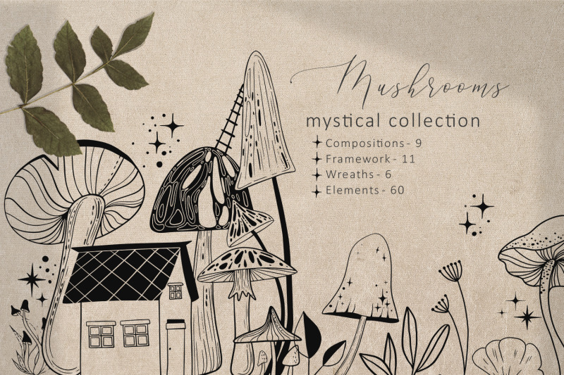 mushrooms-mystical-collection