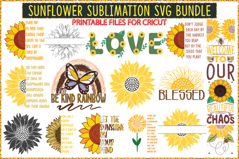 sunflower-bundle