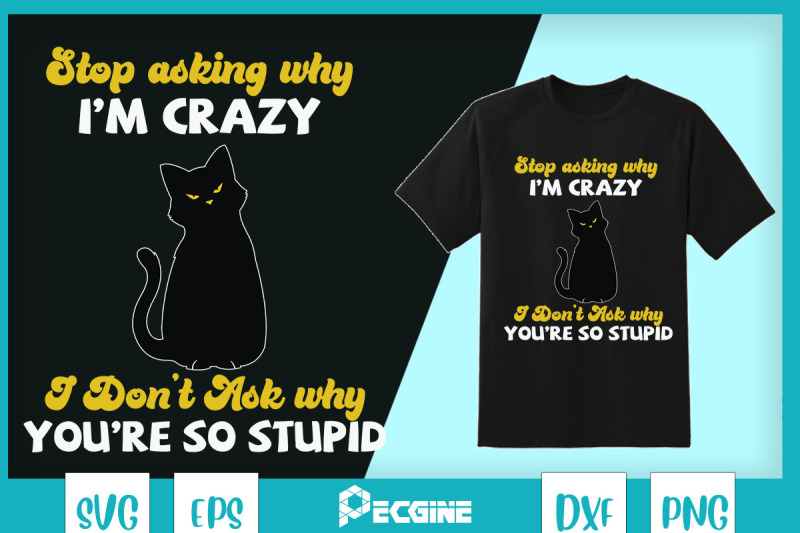 funny-cat-stop-asking-why-i-039-m-crazy