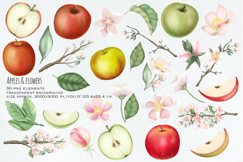 apples-and-flowers-clipart