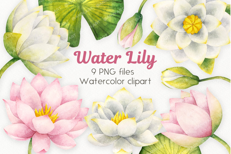 watercolor-water-lilies