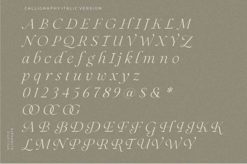 roxale-story-elegant-serif