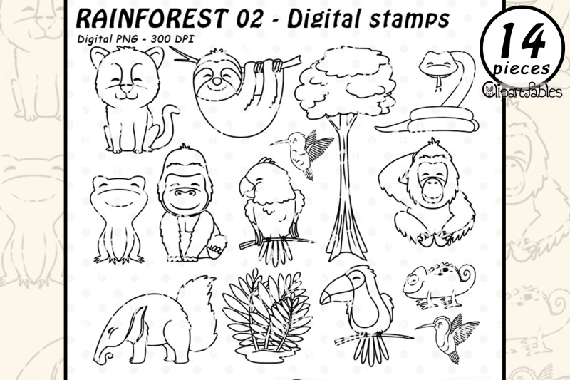 rainforest-animals-outline-wild-animals