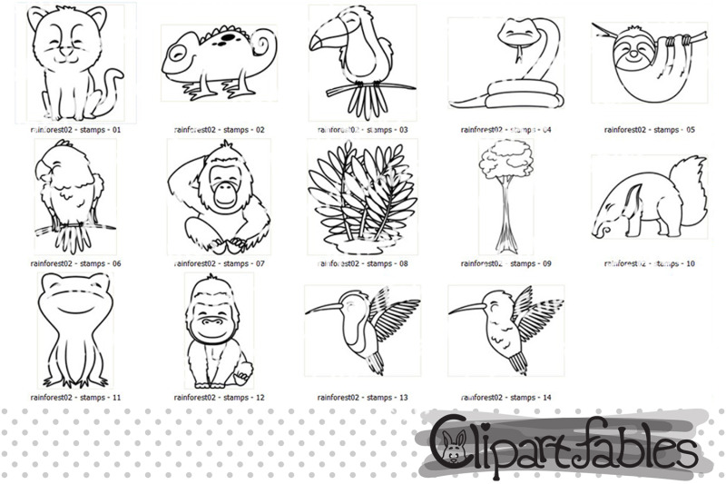 rainforest-animals-outline-wild-animals