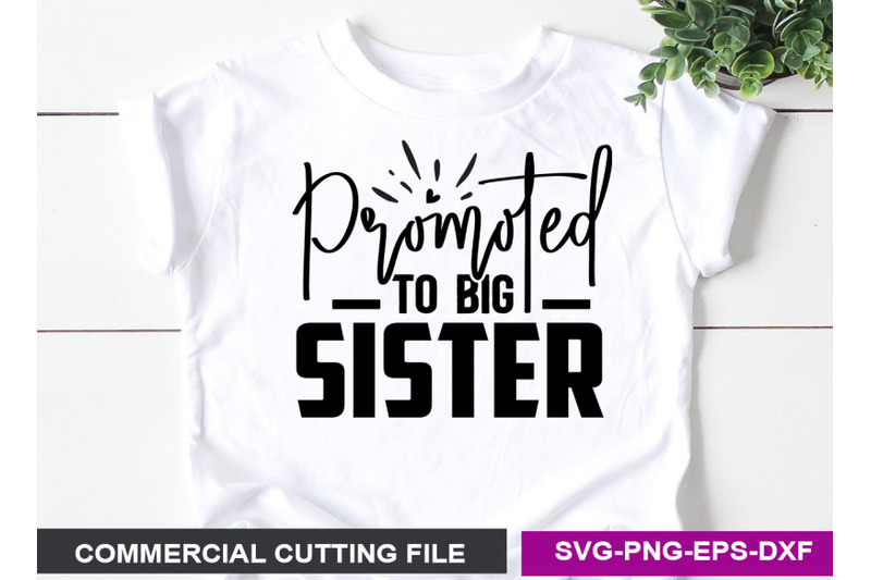 brother-amp-sister-svg-design-bundle