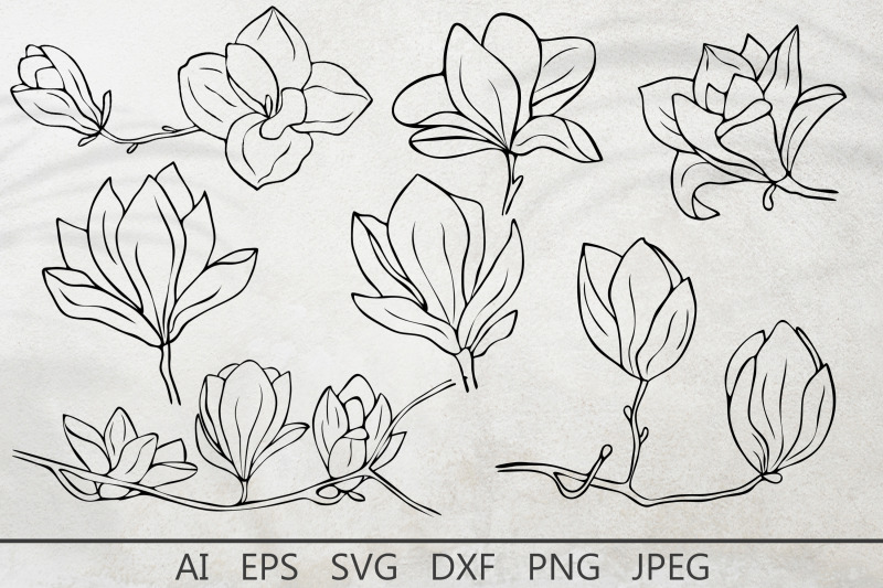 magnolia-flowers-line-art-svg-magnolia-silhouette-dxf