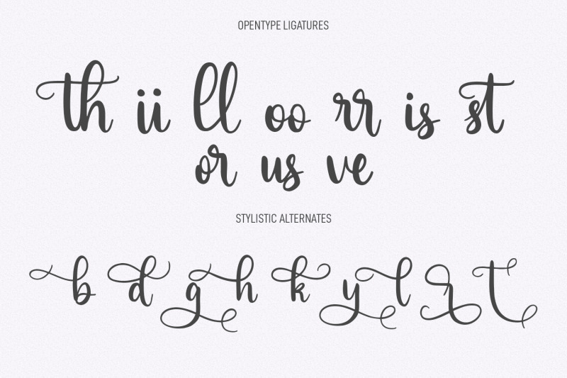 stories-amsterdam-feminine-signature-script-font