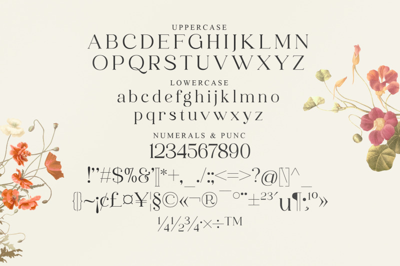 mofaze-del-monte-typeface