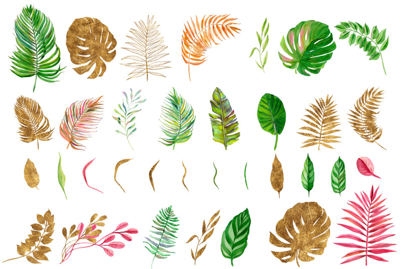 tropical-animals-and-plants-watercolor-clipart