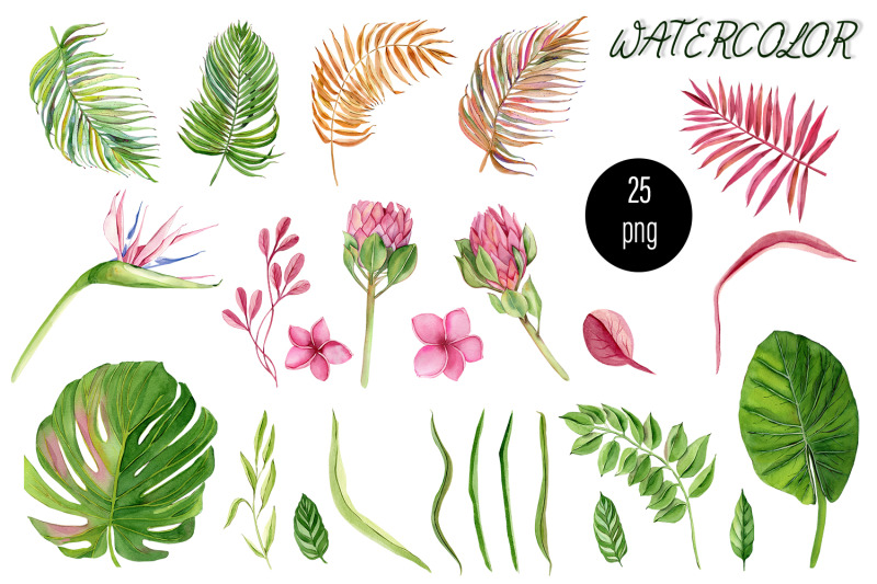 tropical-animals-and-plants-watercolor-clipart