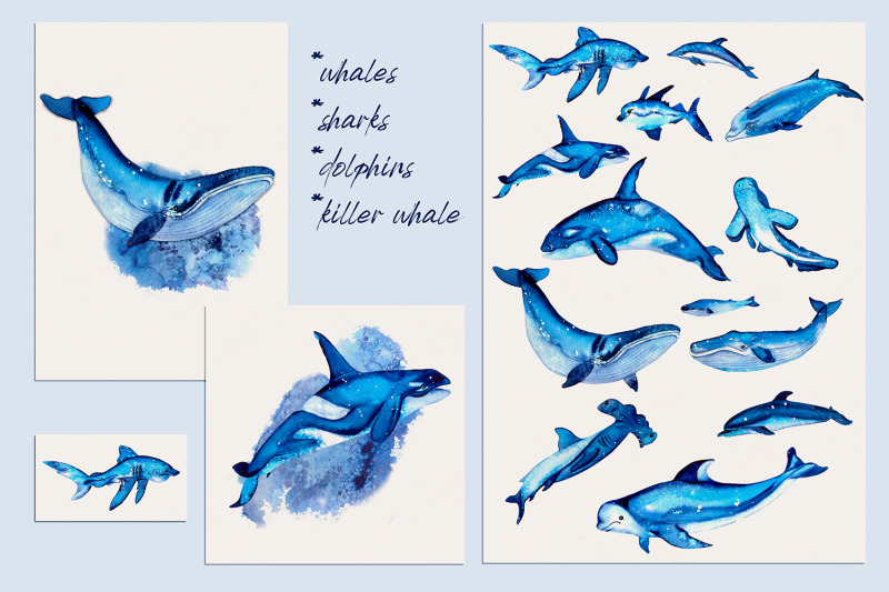 watercolor-ocean-clipart-cute-sea-animals-png