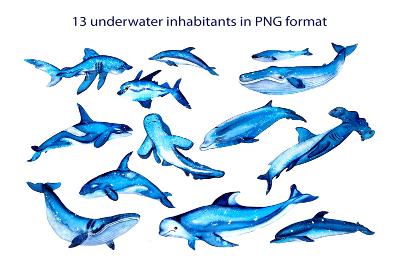 watercolor-ocean-clipart-cute-sea-animals-png