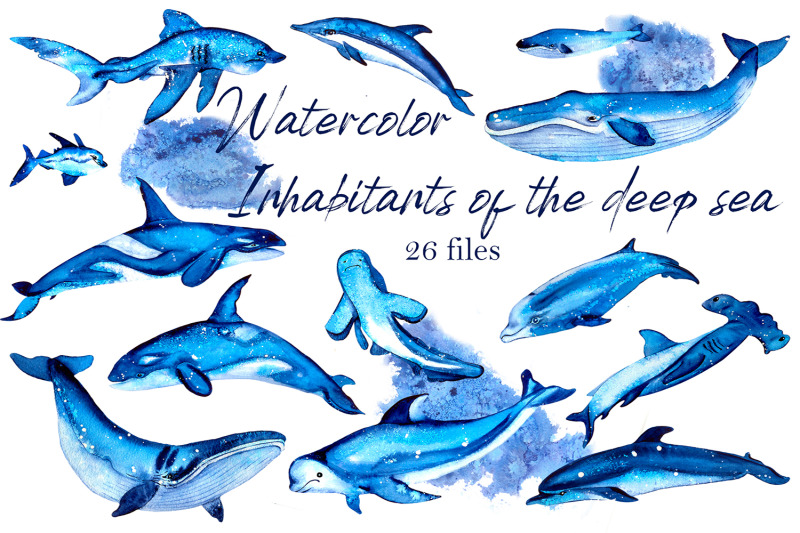 watercolor-ocean-clipart-cute-sea-animals-png