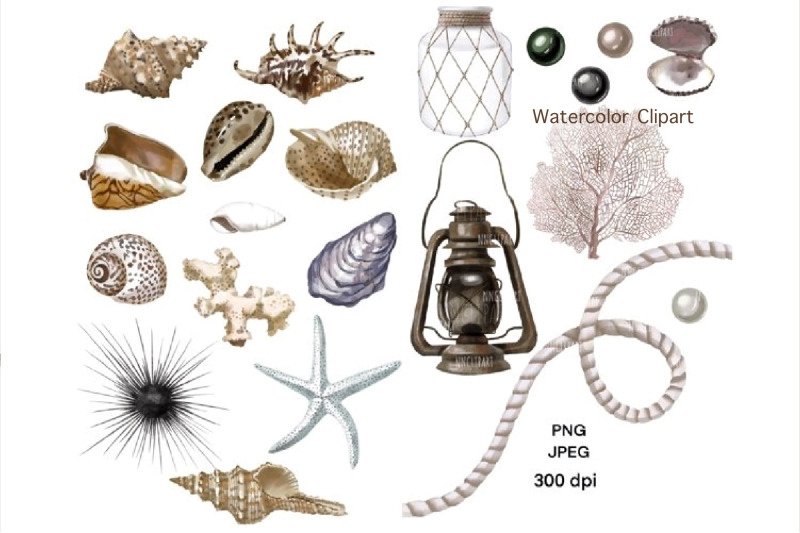 sea-souvenirs-seashells-watercolor-clipart-gas-lamp-starfish-nauti