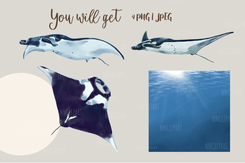 watercolor-manta-rays-clipart-sting-rays-watercolor-illustration
