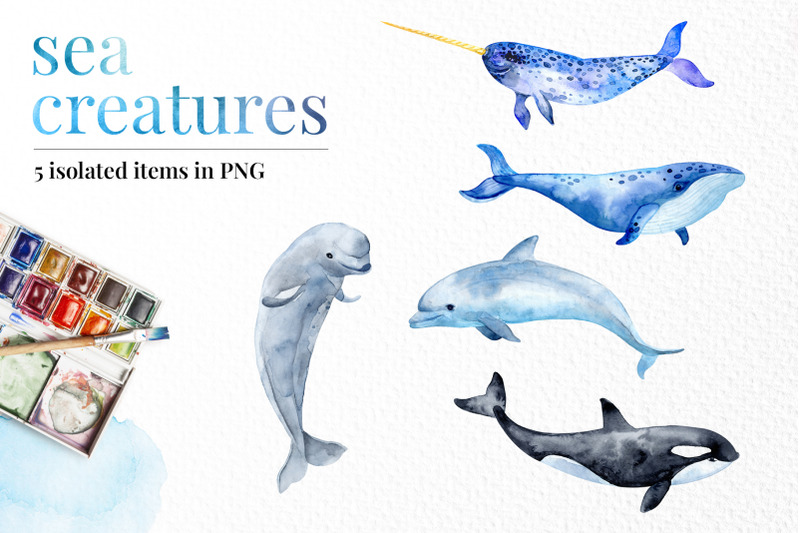 sea-creatures-constellations-and-watercolor-decorative-elements