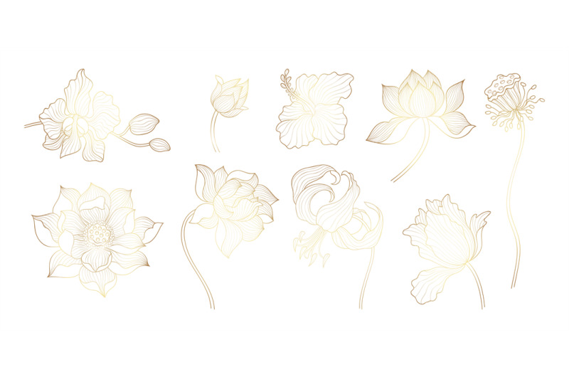 gold-outline-flowers-asian-golden-lotus-yoga-floral-bloom-art-elemen