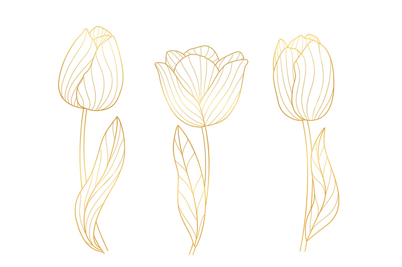 gold-blossom-tulips-bloom-golden-lines-floral-elements-elegant-sprin