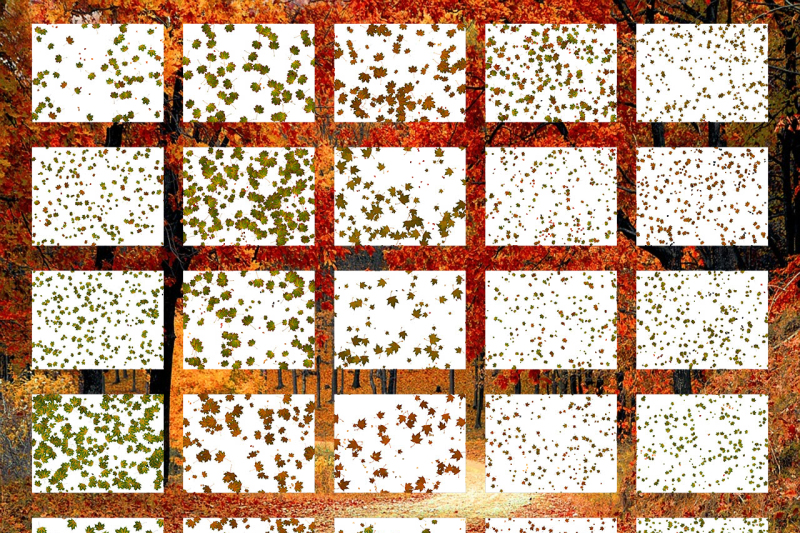 50-transparent-png-maple-falling-leaves-overlays