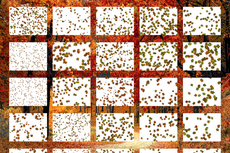 50-transparent-png-maple-falling-leaves-overlays