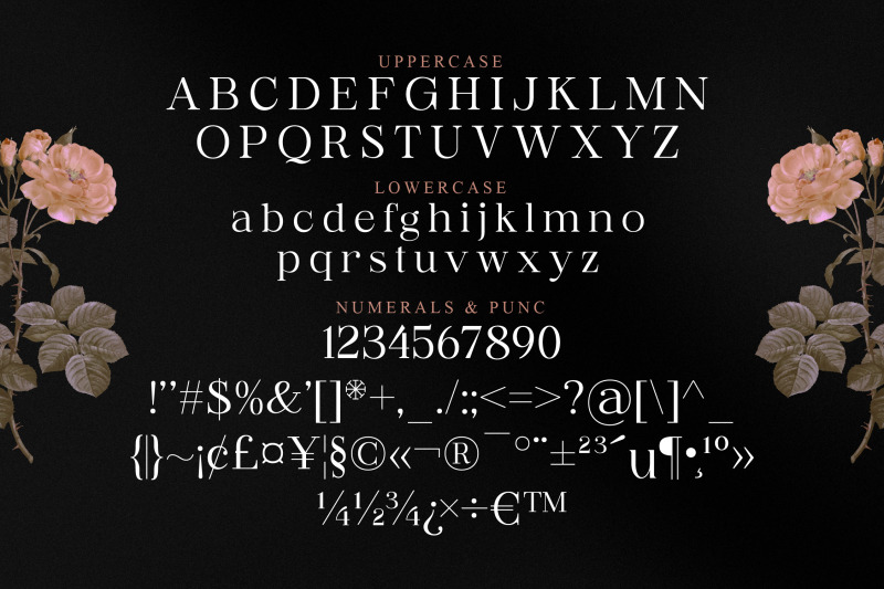 rossela-typeface