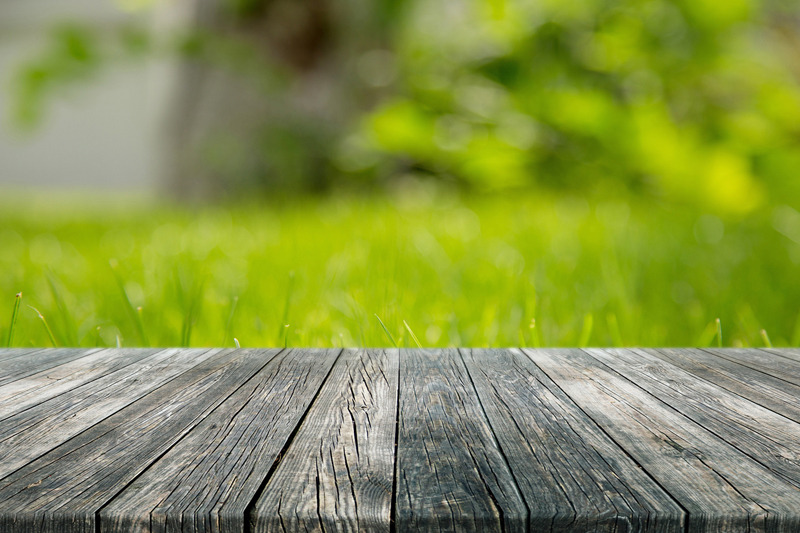 empty-table-rustic-black-wooden-plank-with-garden-background