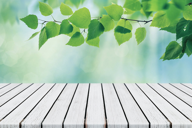 empty-white-plank-wood-table-top-foliage-with-blurred-green-background