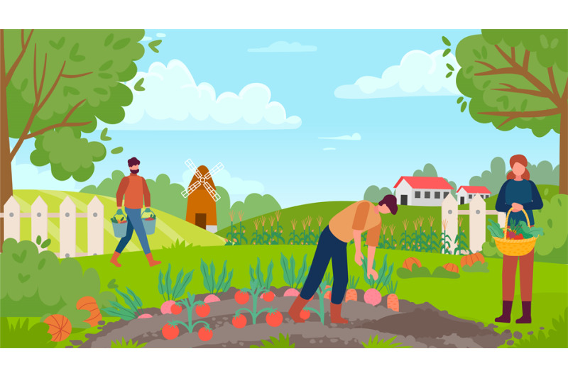 autumn-gathering-people-collecting-harvest-man-picking-carrot-and-be