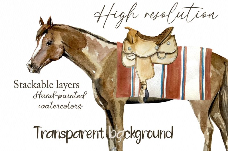 equestrian-watercolor-clip-art-set