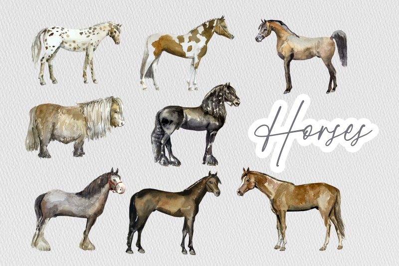equestrian-watercolor-clip-art-set