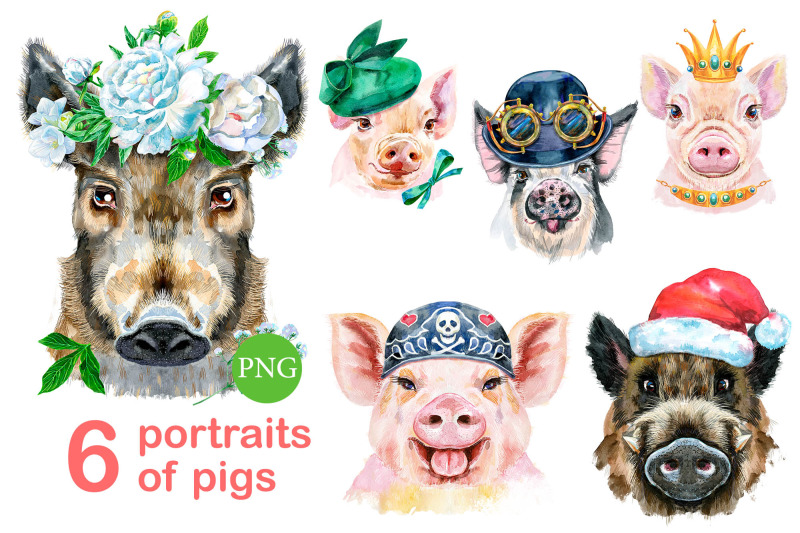 cute-watercolor-pigs-part-11