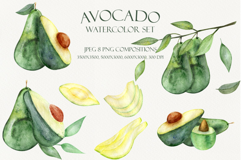 watercolor-avocado-set-clipart